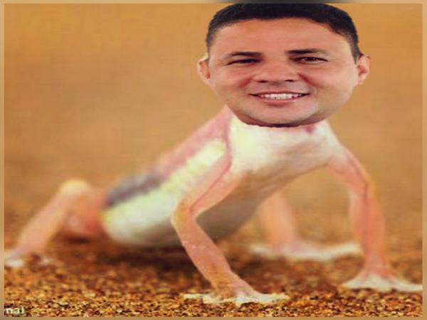 A lagartixa do Assis. 