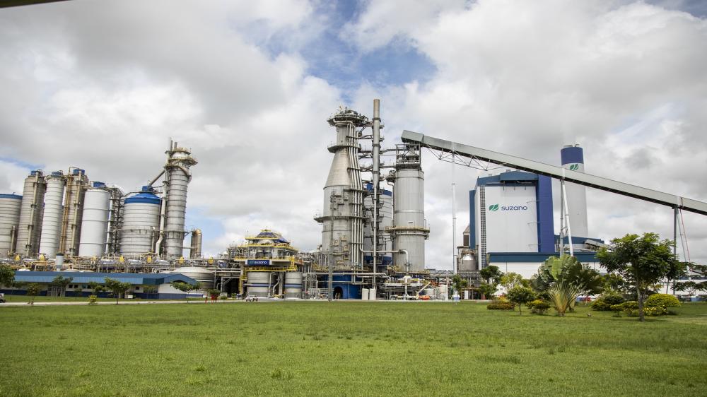 Suzano abre vagas de estágios para formandos até dezembro de 2023 e dezembro de 2024
