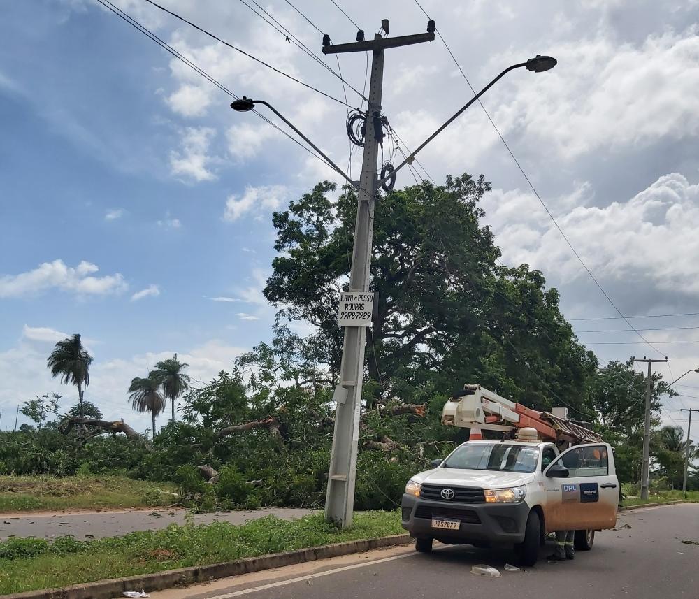 Derrubada de árvore cai em cima da rede elétrica e deixa moradores sem energia 