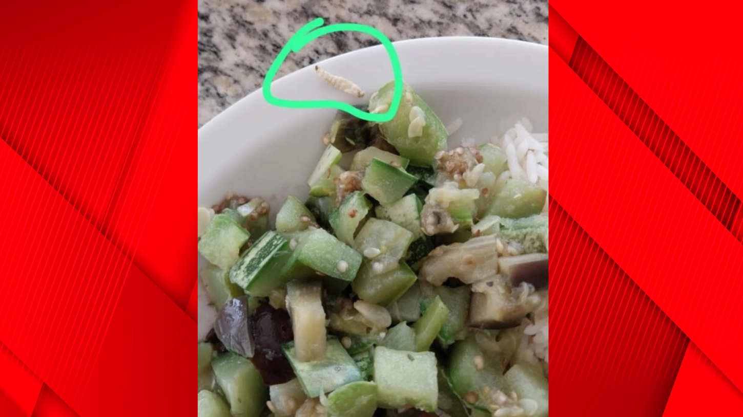Larva é encontrada em comida do restaurante da UFMA Imperatriz do campus Bom Jesus