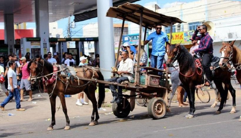 Setran entregará adesivos das carroças para a cavalgada nesta sexta-feira 05