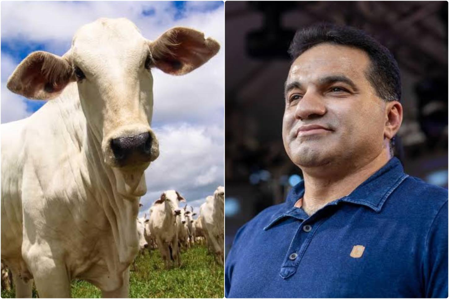 Compra de sêmen de gado vira argumento de defesa no julgamento de Josimar Maranhãozinho no STF