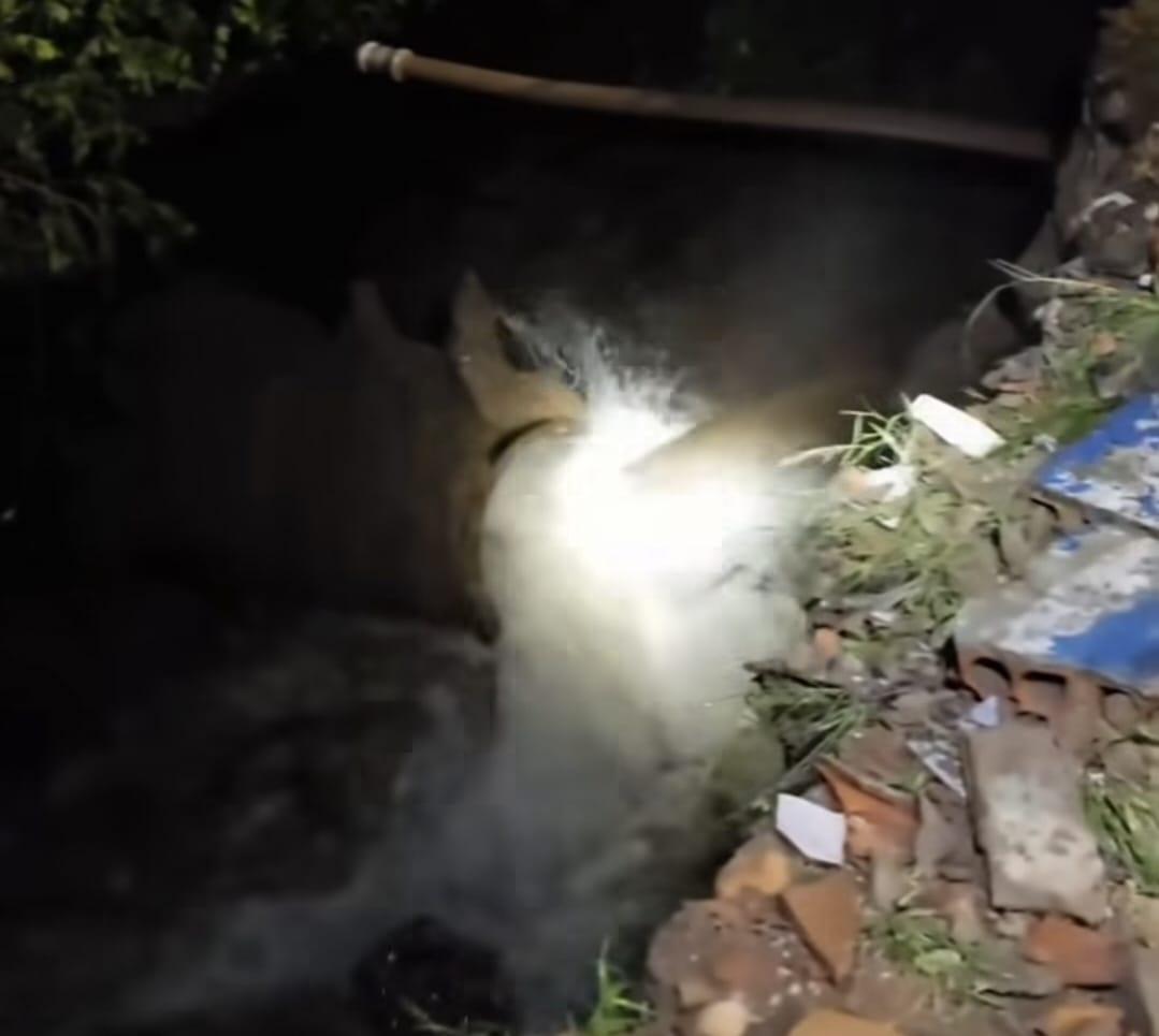 Imperatriz está há dois dias sem água após rompimento de adutora e demora da CAEMA revolta moradores