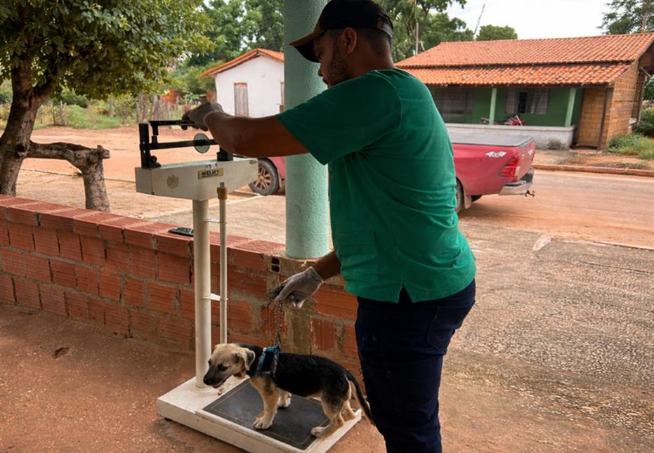 Prefeitura leva ação do programa Saúde Animal ao povoado Petrolina no dia 2 de abril