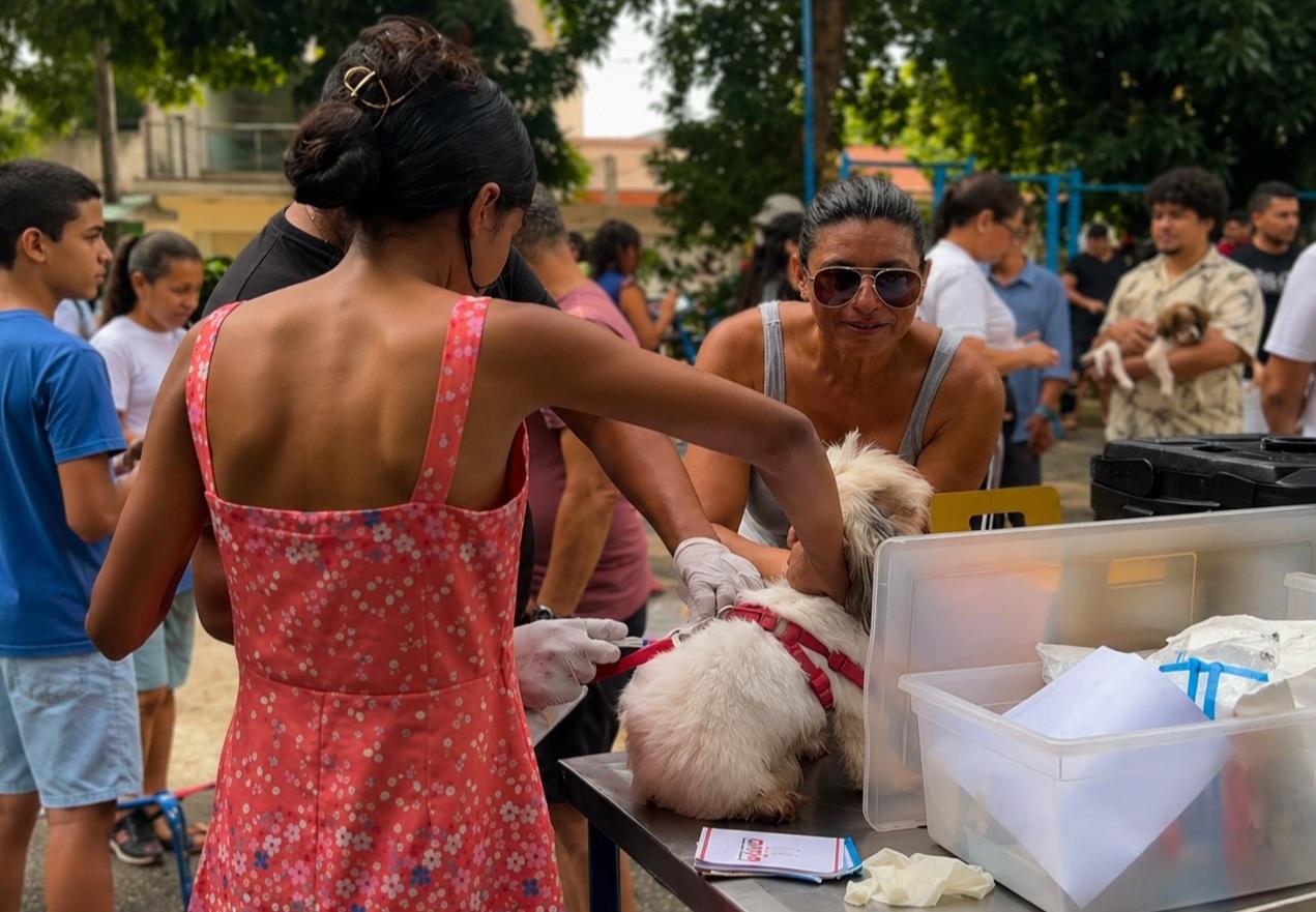 Quase 1.000 animais recebem atendimento gratuito em ação do Saúde Animal da prefeitura