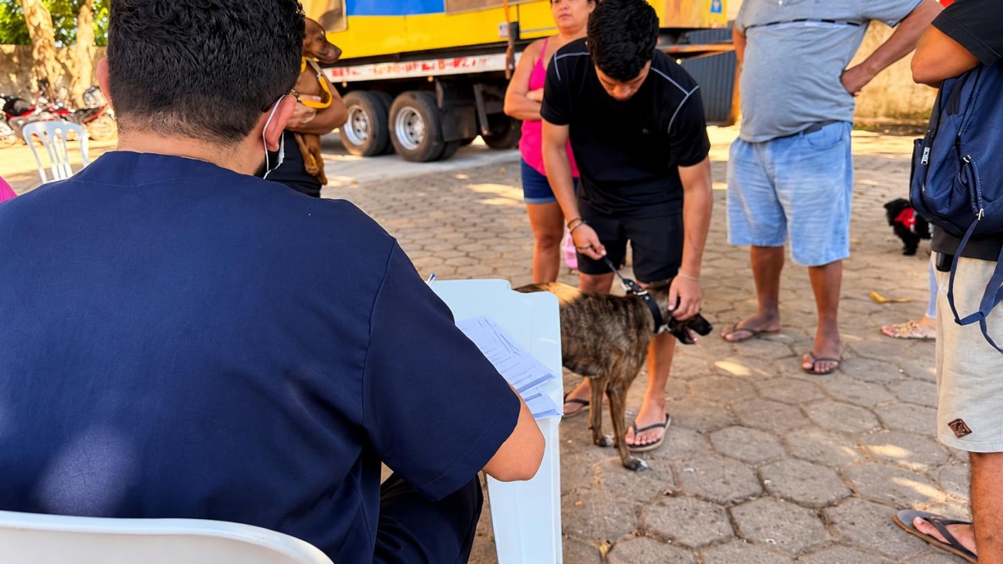 Prefeitura leva atendimento gratuito para cães e gatos com novo projeto de combate às zoonoses