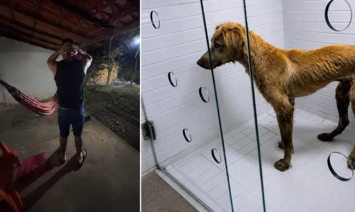 Homem é preso por maus-tratos após agredir gravemente cachorro no bairro Vilinha