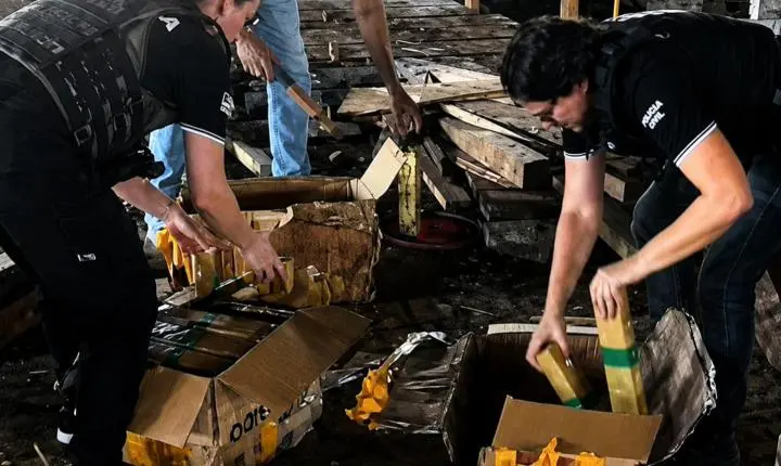 Polícia Civil de Imperatriz incinera 101 quilos de maconha apreendidos em operações contra o tráfico