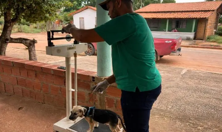 Prefeitura leva ação do programa Saúde Animal ao povoado Petrolina no dia 2 de abril