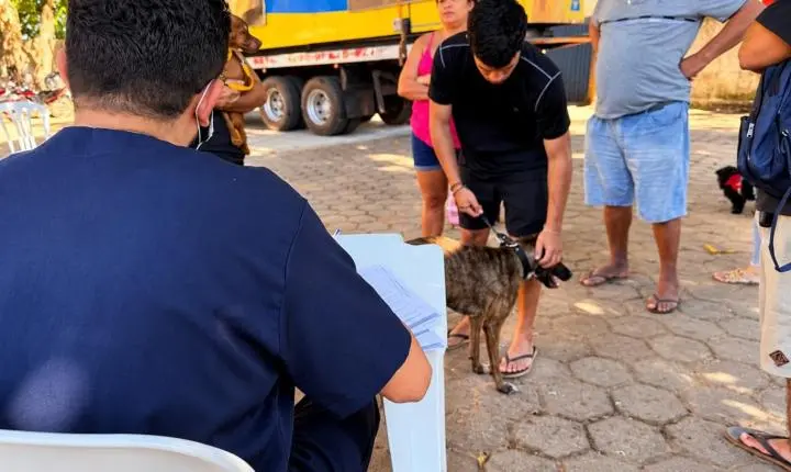 Prefeitura leva atendimento gratuito para cães e gatos com novo projeto de combate às zoonoses